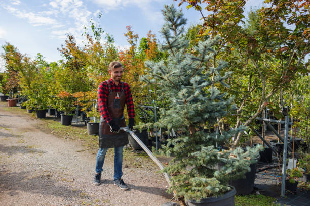 Best Tree Care Services  in Norton, KS